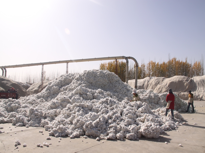 1597659182751876.jpg 2.jpg